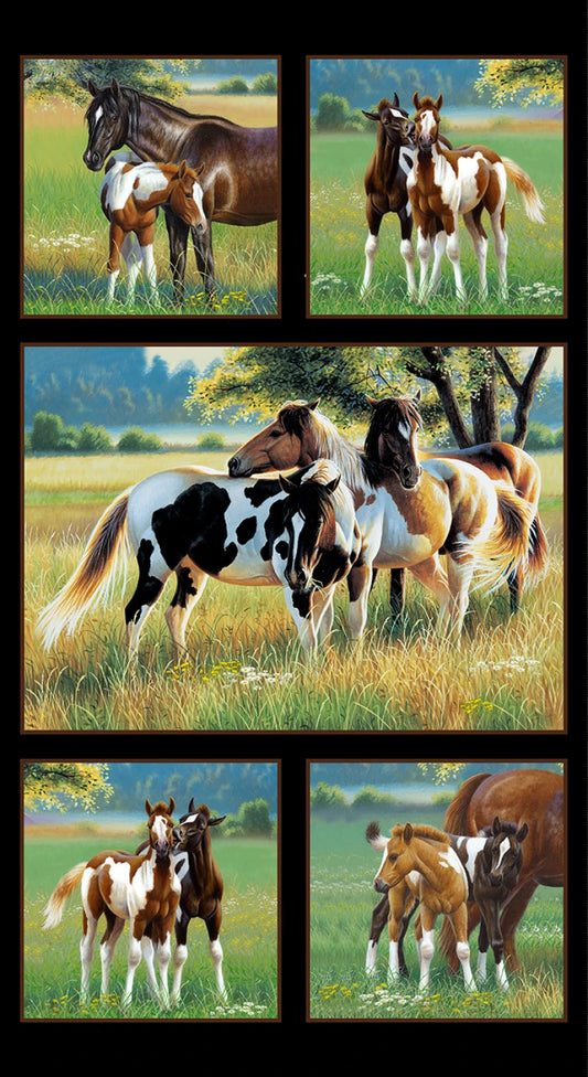 7207E-BLACK Pasture Buddies 24" Panel
