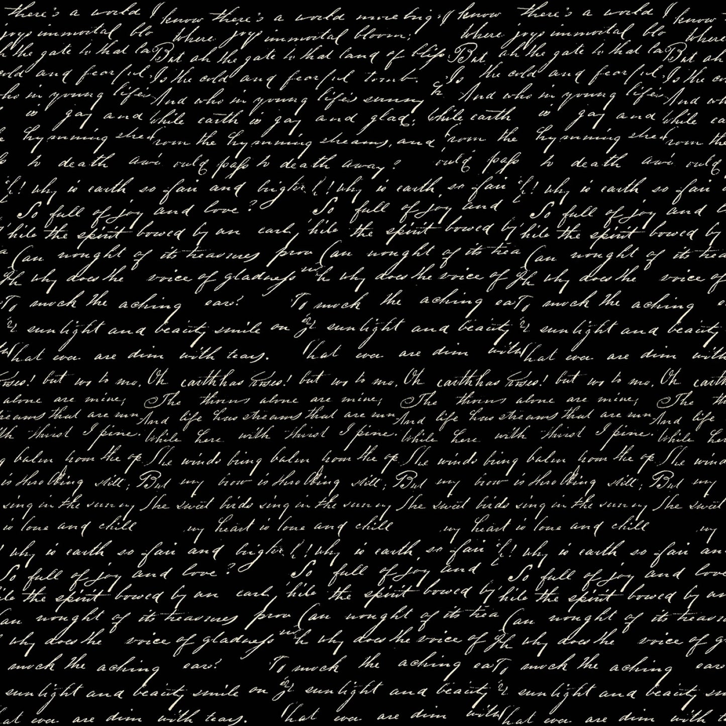 BQ4108-99 Paris Night Black w/Writing 44/45"