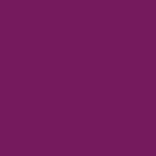 C120-Boysenberry Confetti Cotton Solid 43/44"